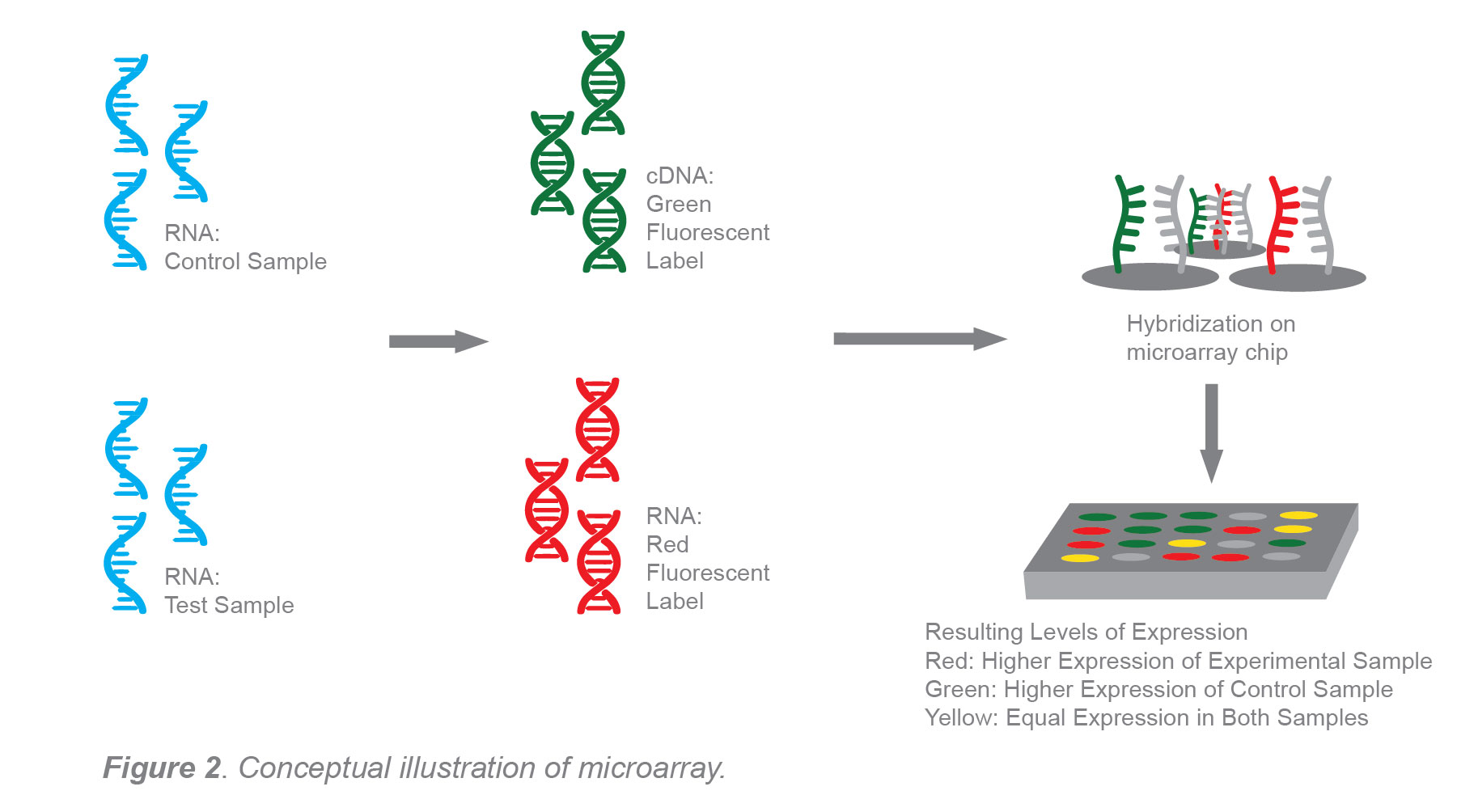 Types of PCR used for Research Applications where different